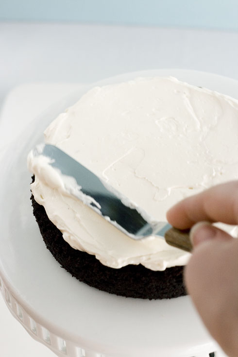 This guide will ensure your first layer cake comes out perfectly! Tons of pics!