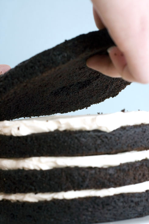 This guide will ensure your first layer cake comes out perfectly! Tons of pics!